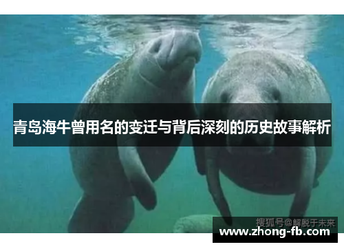 青岛海牛曾用名的变迁与背后深刻的历史故事解析