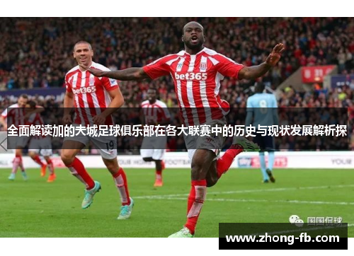 全面解读加的夫城足球俱乐部在各大联赛中的历史与现状发展解析探